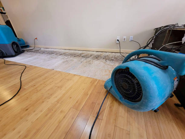 Professional Basement Flood Cleanup technician working in Mazeppa, MN